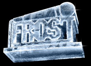 Frosty Logo 2006 by Munk One