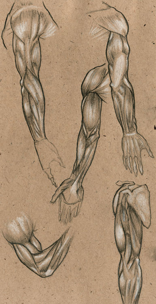 Arm-Sketches-by-Munk-One