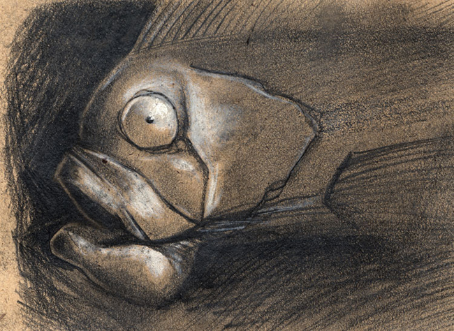 Fish-Head-Sketch