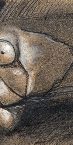 Fish-Head-Sketch
