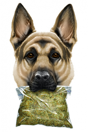 UP NARCO DOG by Munk One